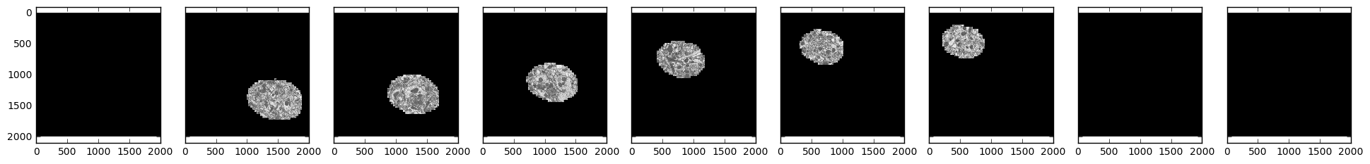 Sample electron microscopy images over time